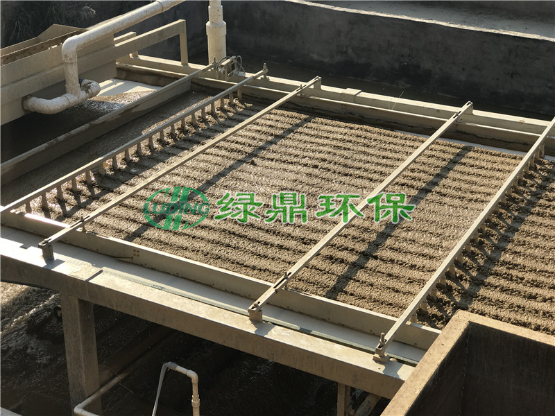 帶式壓濾機應用曲阜養殖場糞污處理項目